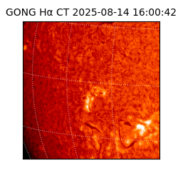 gong - 2025-08-14T16:00:42