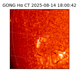gong - 2025-08-14T18:00:42