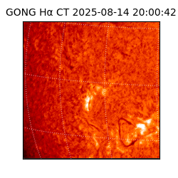 gong - 2025-08-14T20:00:42