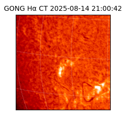 gong - 2025-08-14T21:00:42