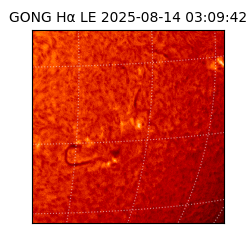 gong - 2025-08-14T03:09:42