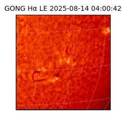 gong - 2025-08-14T04:00:42