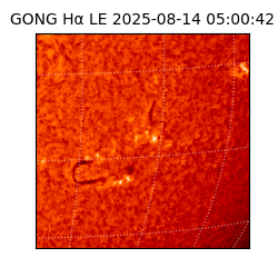 gong - 2025-08-14T05:00:42