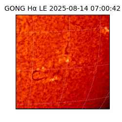 gong - 2025-08-14T07:00:42