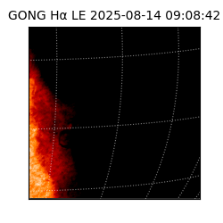 gong - 2025-08-14T09:08:42