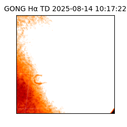 gong - 2025-08-14T10:17:22