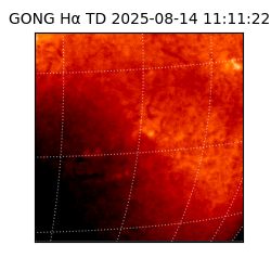 gong - 2025-08-14T11:11:22