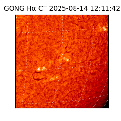 gong - 2025-08-14T12:11:42