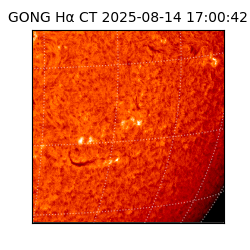 gong - 2025-08-14T17:00:42