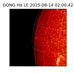 gong - 2025-08-14T02:00:42