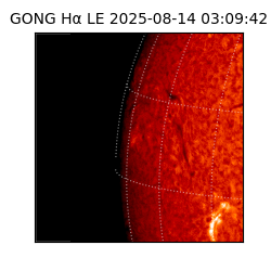 gong - 2025-08-14T03:09:42