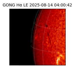 gong - 2025-08-14T04:00:42