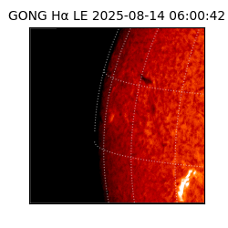 gong - 2025-08-14T06:00:42