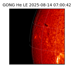 gong - 2025-08-14T07:00:42