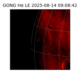 gong - 2025-08-14T09:08:42