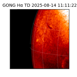 gong - 2025-08-14T11:11:22