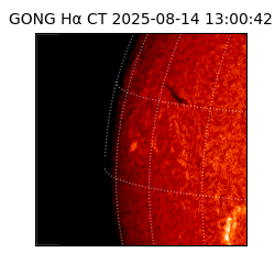 gong - 2025-08-14T13:00:42