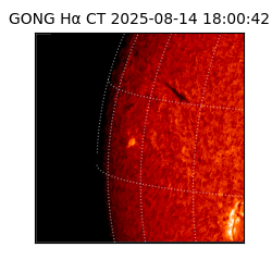 gong - 2025-08-14T18:00:42