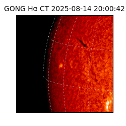 gong - 2025-08-14T20:00:42
