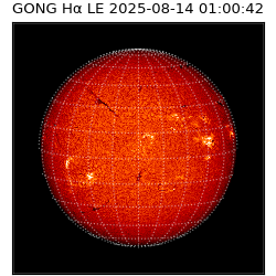 gong - 2025-08-14T01:00:42
