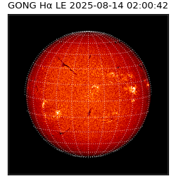 gong - 2025-08-14T02:00:42