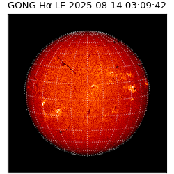 gong - 2025-08-14T03:09:42