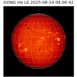 gong - 2025-08-14T04:00:42