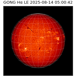 gong - 2025-08-14T05:00:42