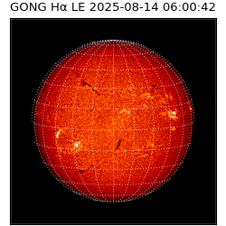 gong - 2025-08-14T06:00:42