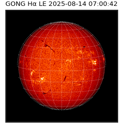 gong - 2025-08-14T07:00:42