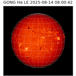 gong - 2025-08-14T08:00:42