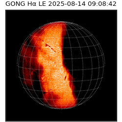 gong - 2025-08-14T09:08:42