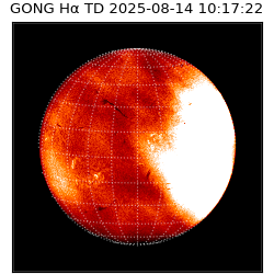 gong - 2025-08-14T10:17:22