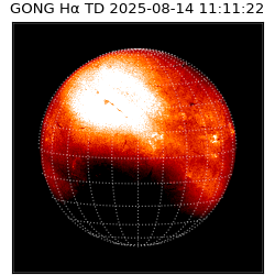 gong - 2025-08-14T11:11:22