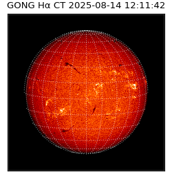 gong - 2025-08-14T12:11:42