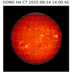 gong - 2025-08-14T14:00:42