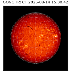 gong - 2025-08-14T15:00:42