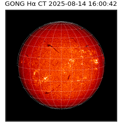 gong - 2025-08-14T16:00:42
