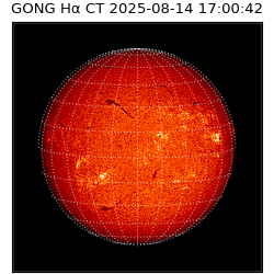 gong - 2025-08-14T17:00:42