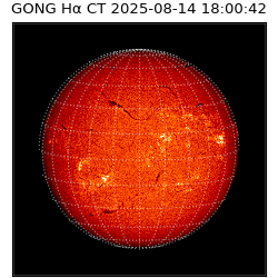gong - 2025-08-14T18:00:42