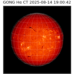 gong - 2025-08-14T19:00:42