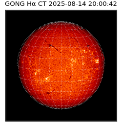 gong - 2025-08-14T20:00:42