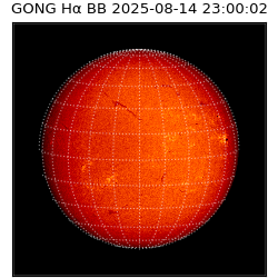 gong - 2025-08-14T23:00:02