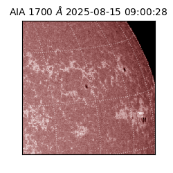 saia - 2025-08-15T09:00:28.718000