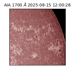 saia - 2025-08-15T12:00:28.720000