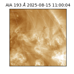 saia - 2025-08-15T11:00:04.843000