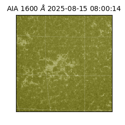 saia - 2025-08-15T08:00:14.125000