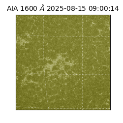 saia - 2025-08-15T09:00:14.126000