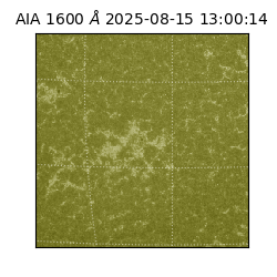 saia - 2025-08-15T13:00:14.126000