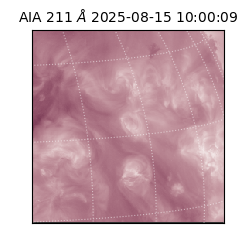 saia - 2025-08-15T10:00:09.630000